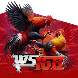 WS168